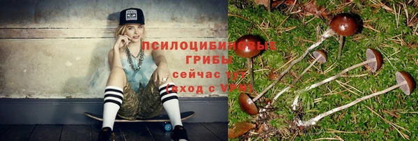 марки nbome Карпинск
