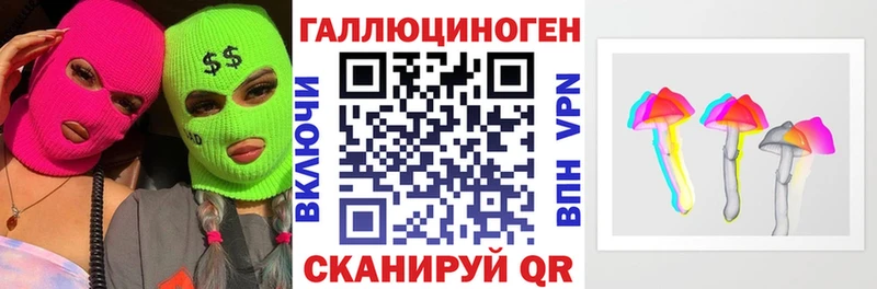 Купить закладки  Зеленогорск  Псилоцибиновые грибы мицелий 